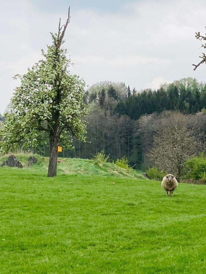 Gut Kalkhaeuschen, Ein Ort Mit Geschichte Aachen